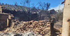 Karabük, Bilecik, Sakarya ve Antalya’daki yangınlarda 87 yapı ağır hasar aldı