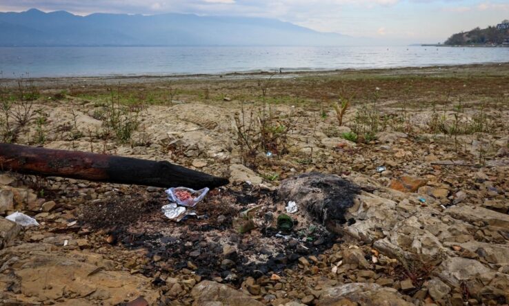 Sapanca Gölü kıyılarında ekosistemi koruyan temizlik çalışması sürüyor
