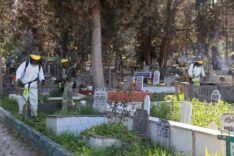 Sakarya'da 16 İlçedeki Mezarlıklar Ramazan Bayramı İçin Temizleniyor ve Onarılıyor