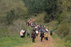 Sakarya’da Bahar Doğa Yürüyüşleri Göktepe ve Kömürlük Etabıyla Başladı