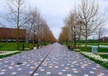 Sakarya’nın Parkları ve Refüjleri 200 Bin Çiçekle Bahara Hazırlandı