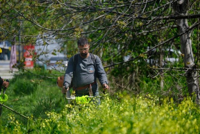 Serdivan Bahçelievler'de Kirişhane Caddesi'nde Bahar Bakım ve Temizliği Etkili Şekilde Sürüyor